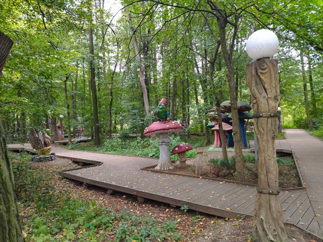 Волшебная страна