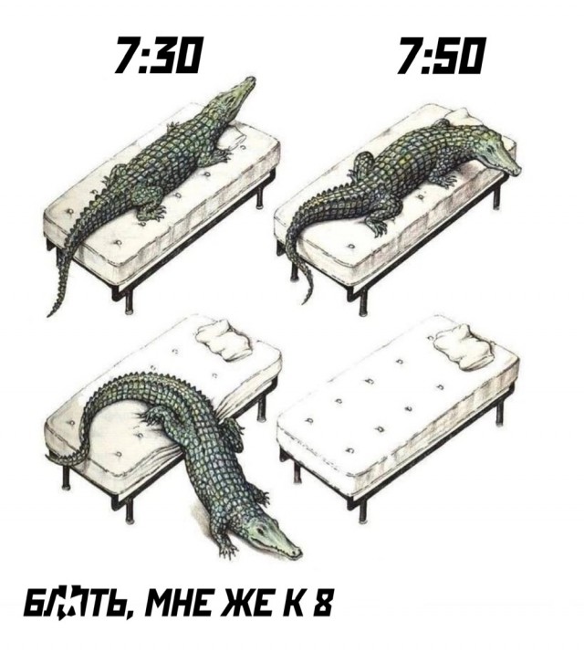 Так себе картинки 14.09.23