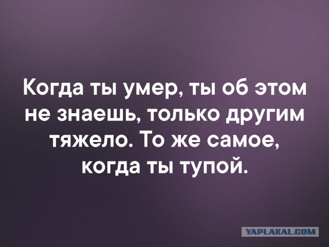 Немного юмора из англоязычного сегмента интернета