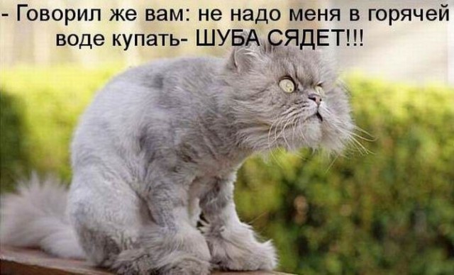 Так себе картинки 06.10.23