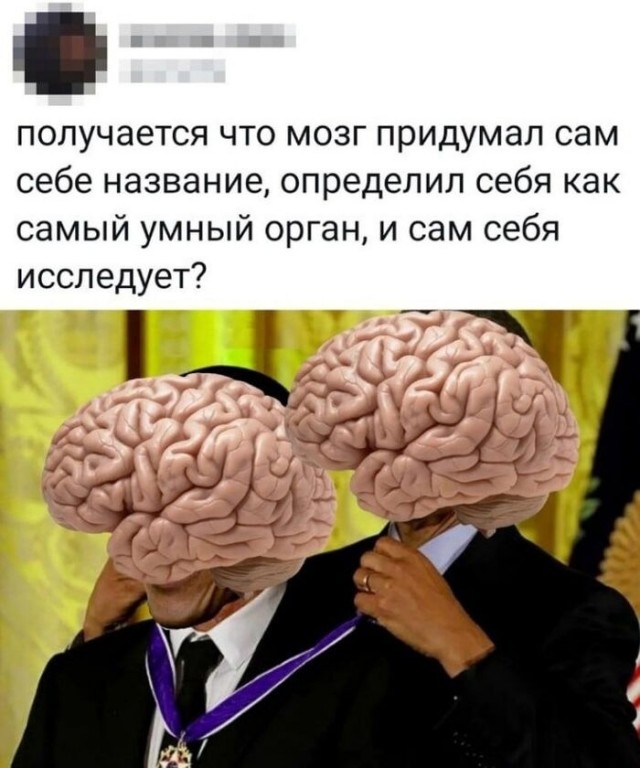 Так себе картинки 17.10.23