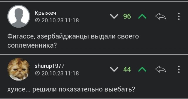 Задержан организатор подростковой банды