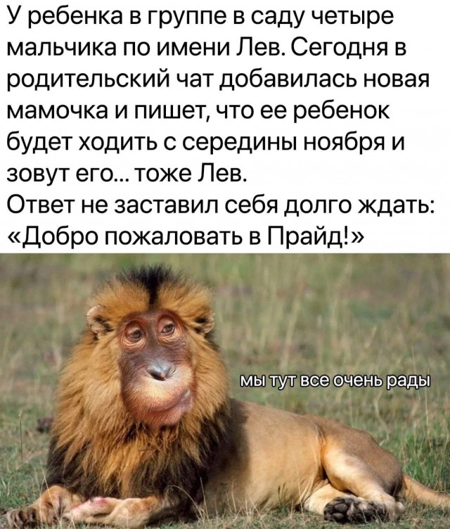 Так себе картинки 02.11.23