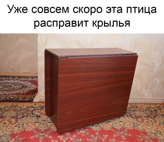 Пришло его время, доставайте старичка: американские зумеры открыли для себя советское изобретение  — стол-книжку