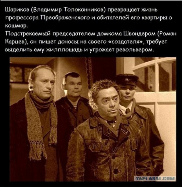 На Закарпатье местный депутат взорвал гранату прямо во время заседания сессии