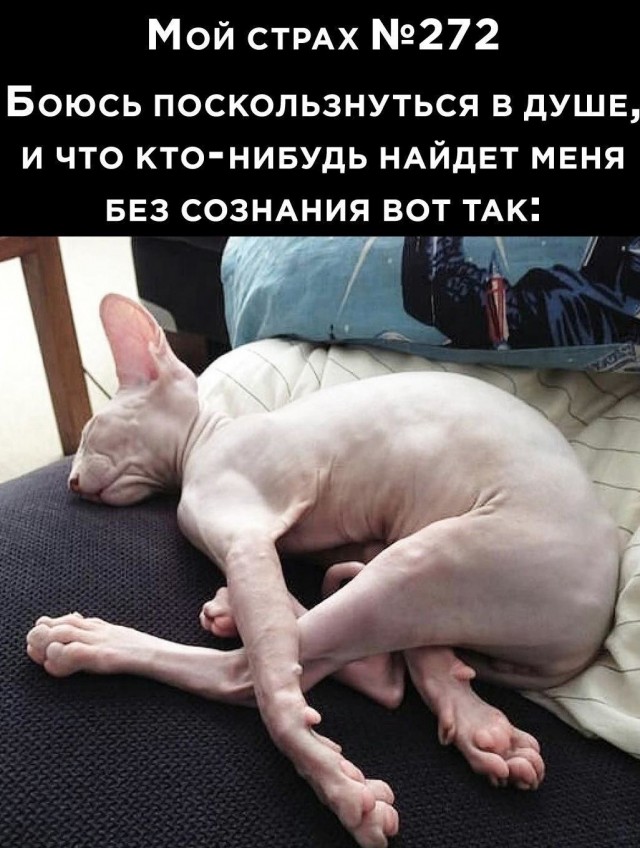 18689653.jpg