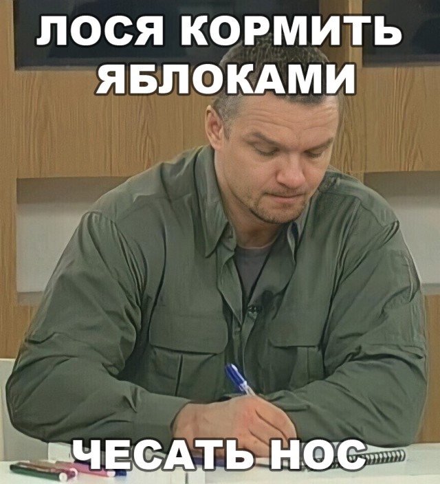 Лосик пришел за вкусняшкой