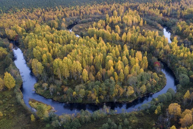 Кенозерье