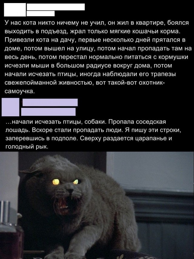Юмор в картинках и без