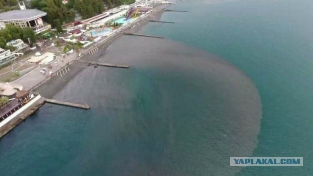 Можно ли засрать Черное море?