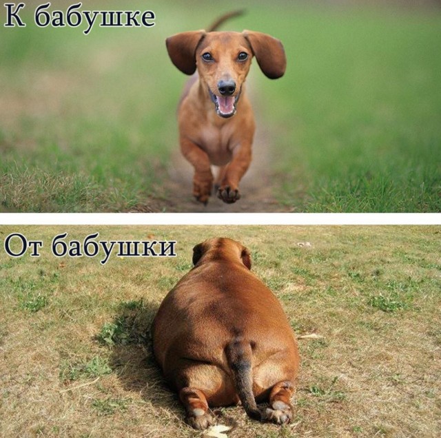 Бабушке нельзя отказывать
