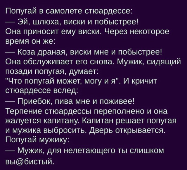 Так себе картинки 28.08.24