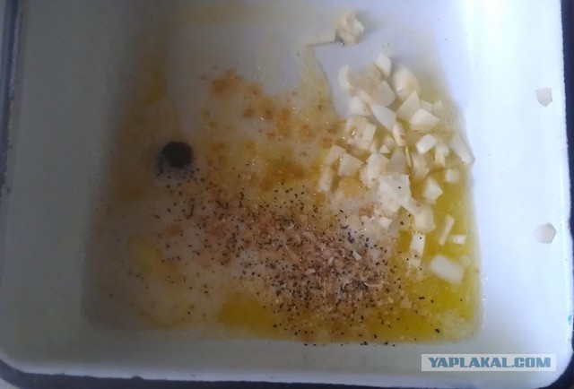 Фениксы на перечном поле