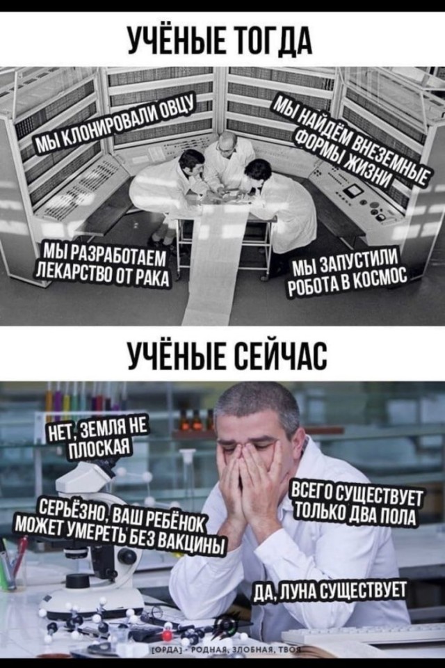 Веселые картинки к пятнице (18.10)