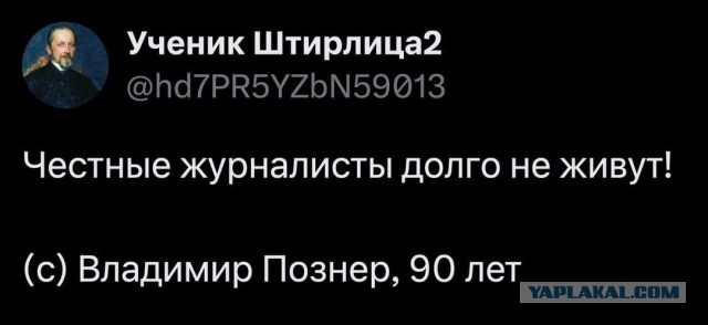 Так себе картинки 23.11.24