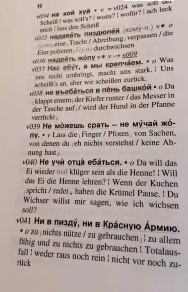 Девушка нашла русско-немецкий словарь