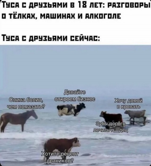 Завалялось тут случайно немного забавных картинок