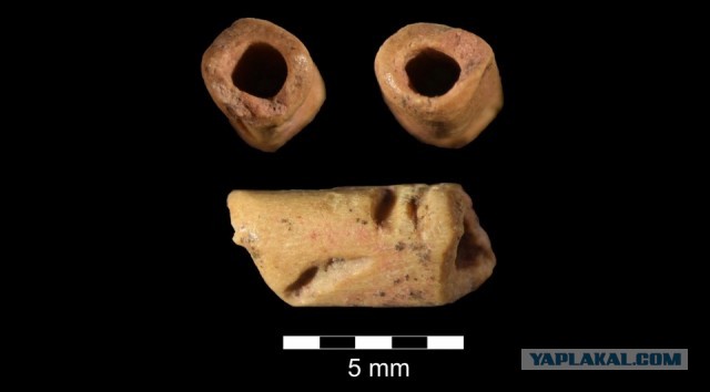 Трусишка - зайка беленький.