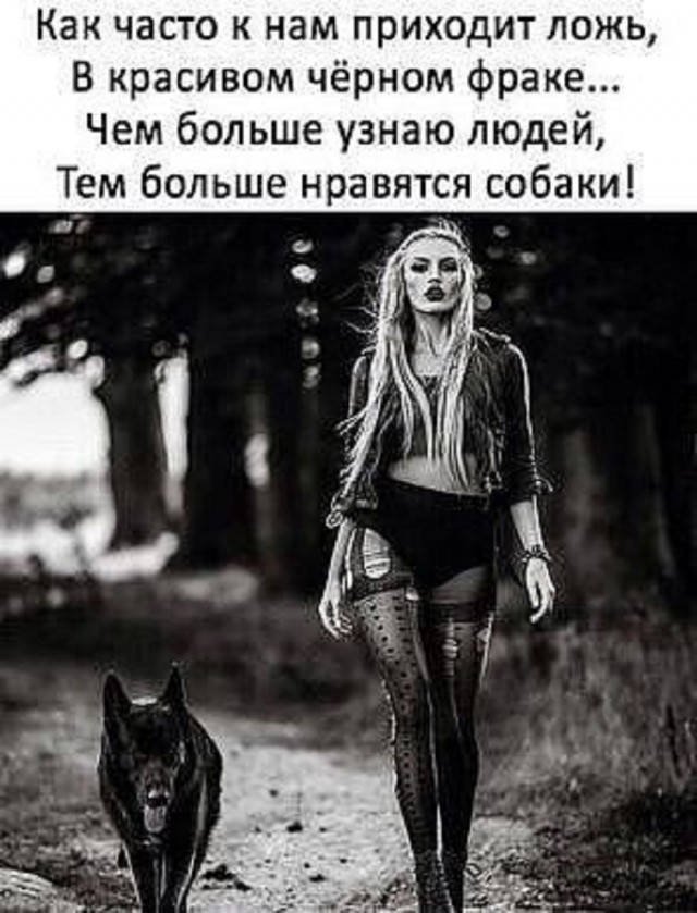 Так себе картинки 28.03.25