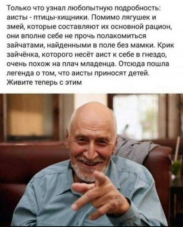 Веселые картинки в пятницу (11.07)