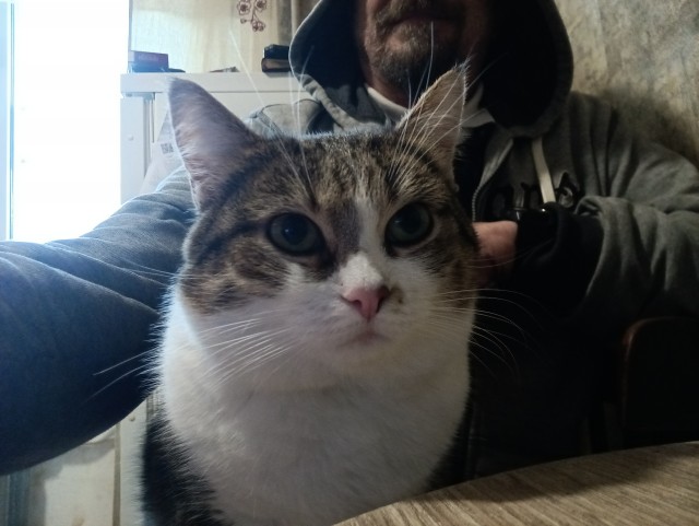 Котовторнеег жешь!