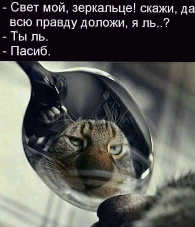 Вечер воскресенья