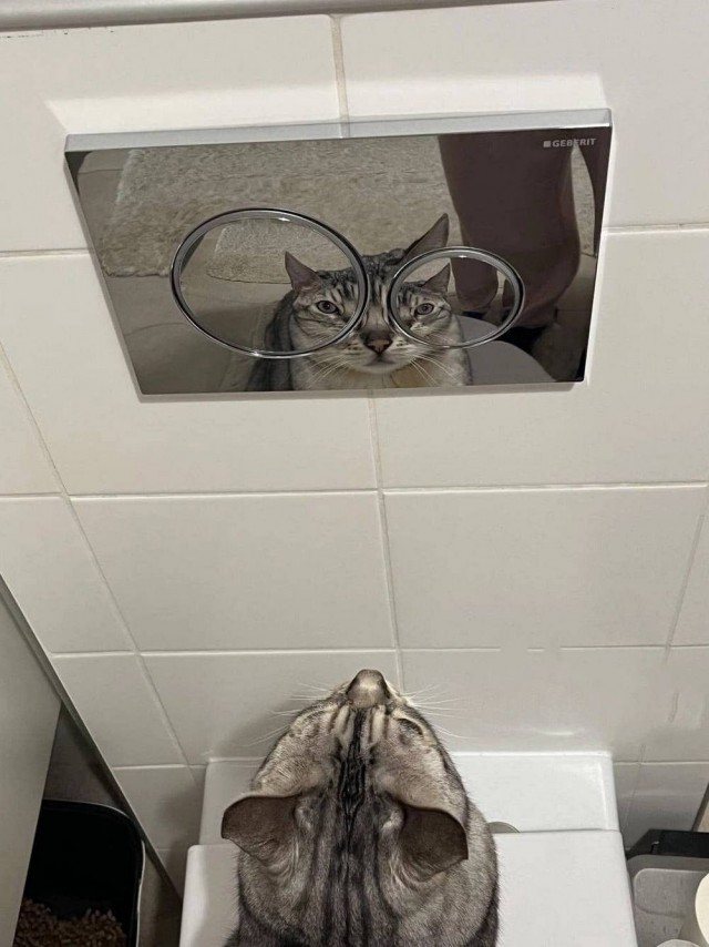 *Зачёркнуто*