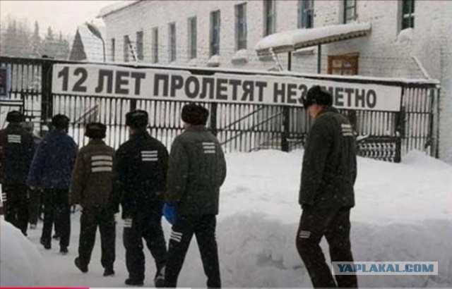 Веселые картинки _)