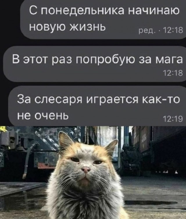 Картиночки, баянчики 08 января
