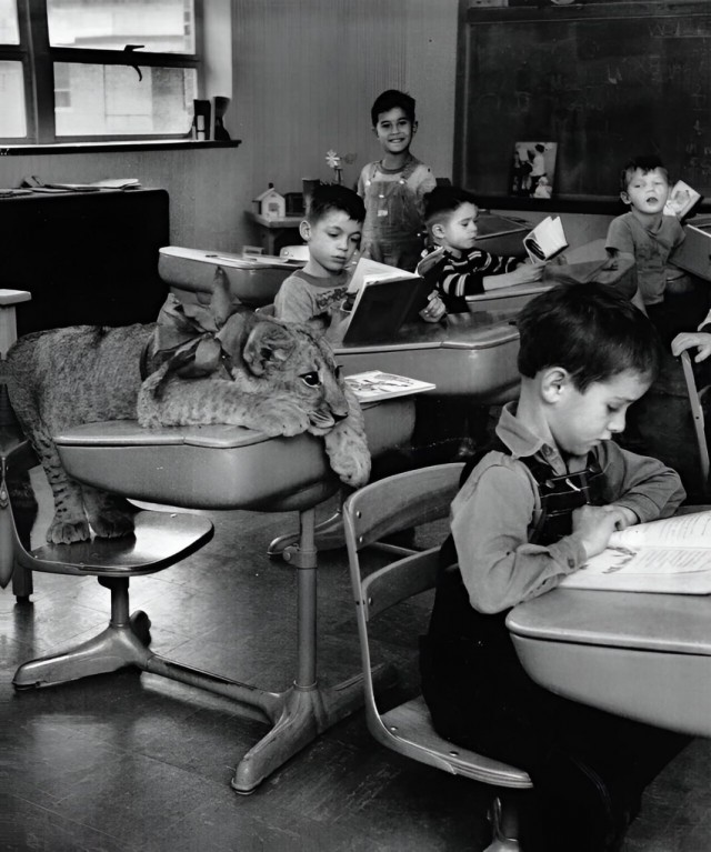 Редкие кадры и архивные снимки 25.02.26