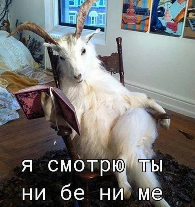Прикольные и просто красивые картинки 13.03.2026