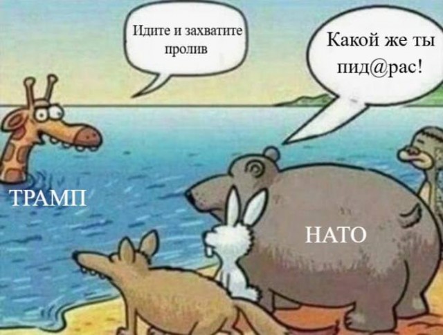 Картинки для деградации 161 (разной степени свежести)