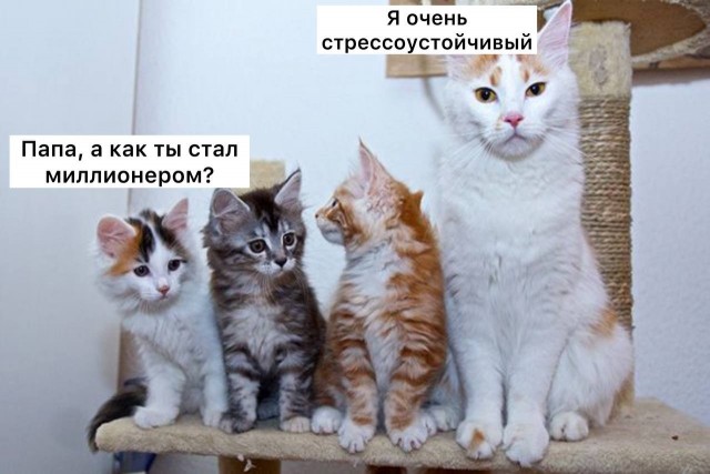 В Госдуме предложили платить отцам по миллиону рублей за сохранение семьи
