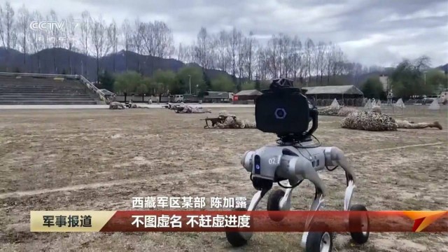 В Китае испытывают робособак с акустическим оружием