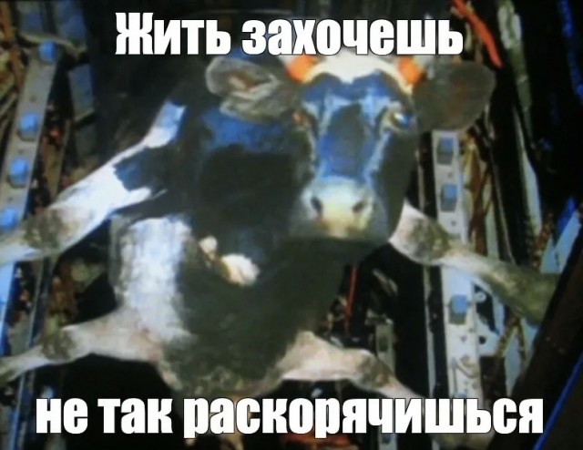 Небо.Самолёт.Девушка