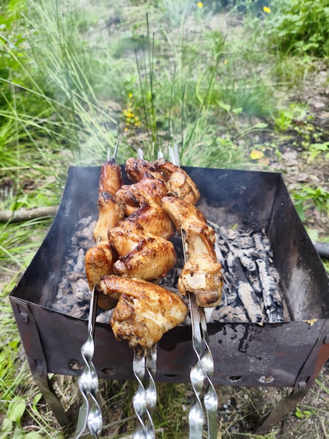 Как я на шашлыки пошёл.