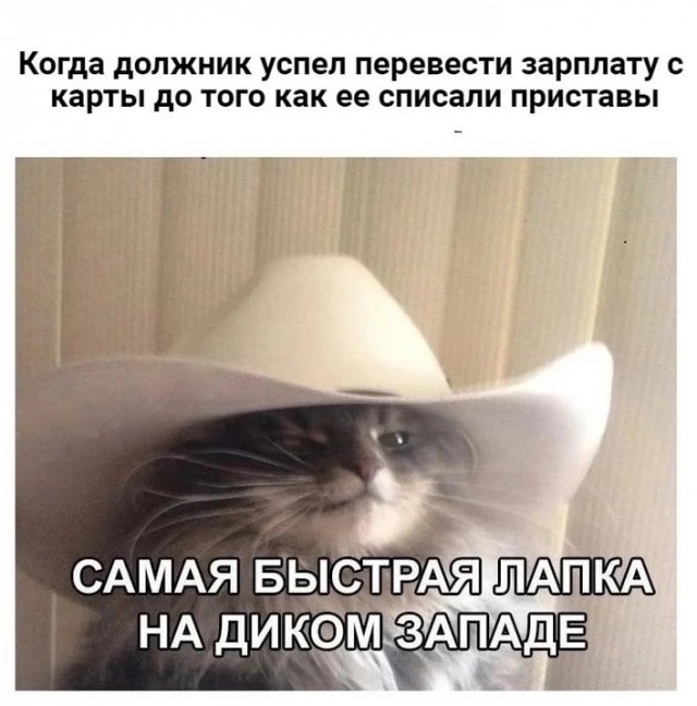 Так себе картинки 21.06.26