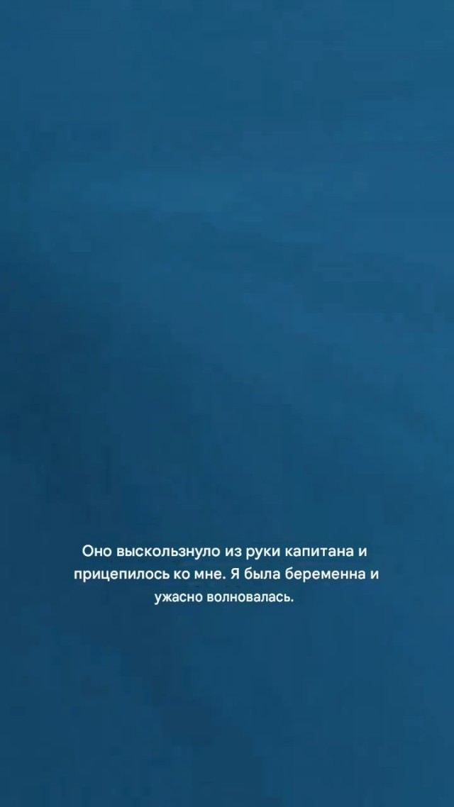 Дельфин приплыл за помощью и получил ее