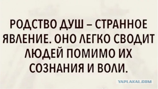 Критерии выбора "второй половинки"