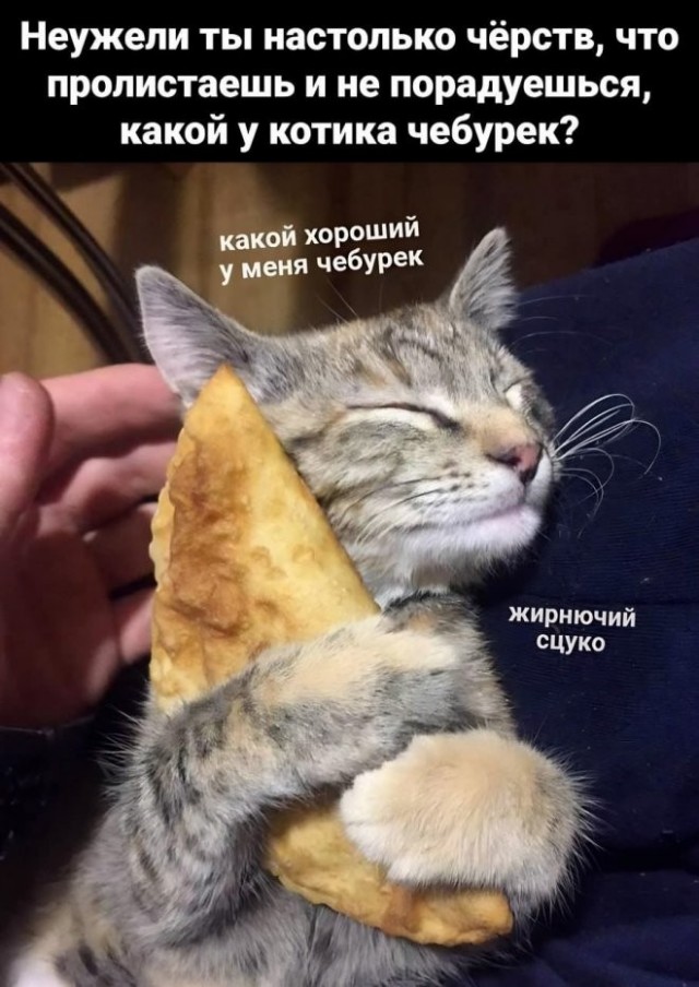 Картинки для деградации 260 (разной степени свежести)
