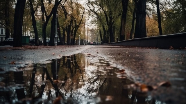 Осень наступила...