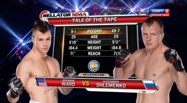 БОКС/MMA....