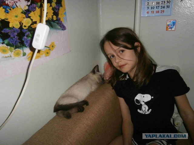 Котовторник 27.5.2014