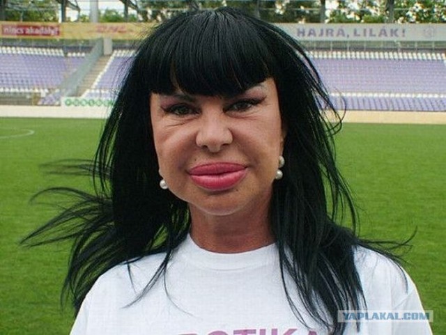 На пути к совершенству