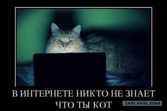 Найти, что искала, посредством нимфомании и ЯПа