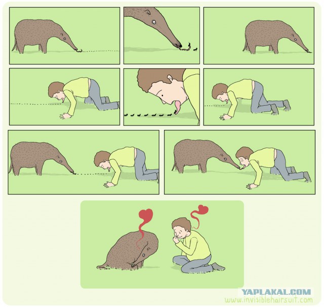 Картинки
