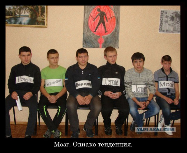 Улыбнись - демотиваторы заЯПись