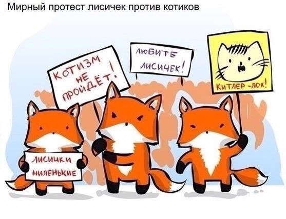 Рыжих плутовок пост