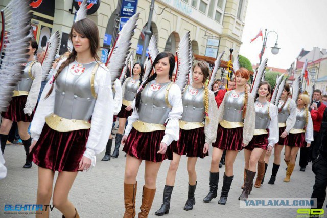 Польские крылатые гусары