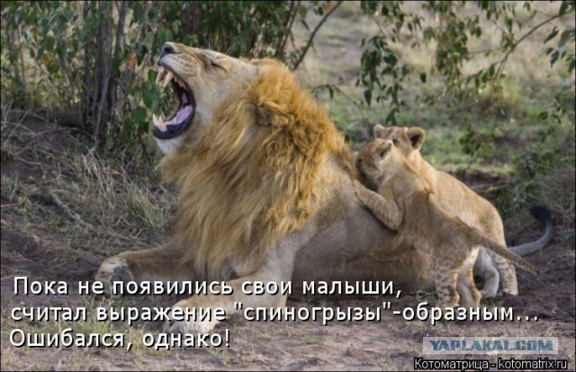 Тем кто называет детей личинками!